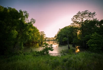 Nature's Haven: Uncovering the Natural Beauty of Holly Springs
